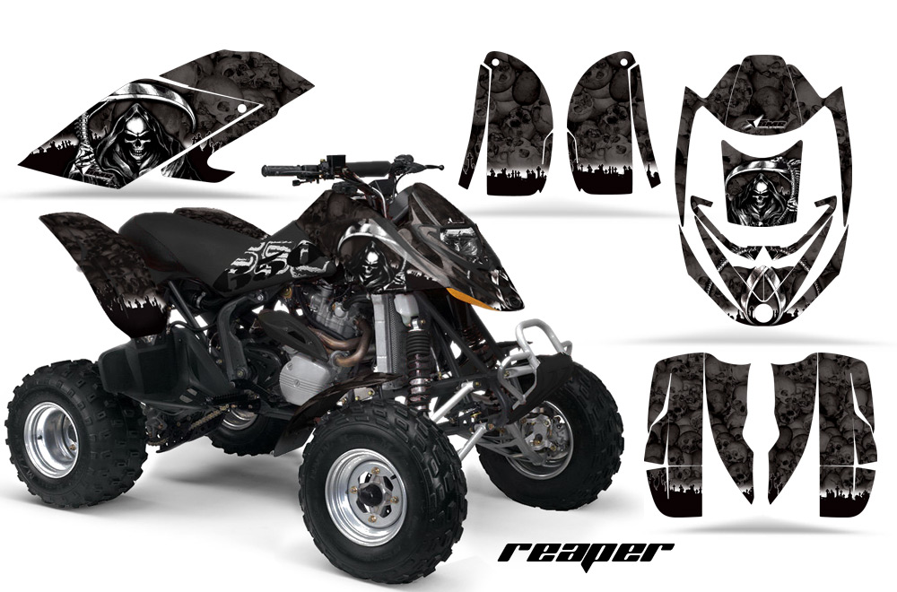 Can-Am Bombardier DS650 Graphics REAP BLK